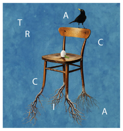 Traccia