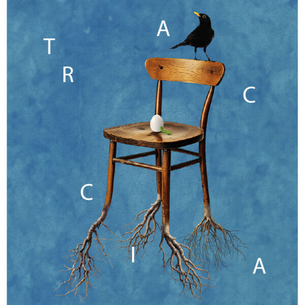 Traccia
